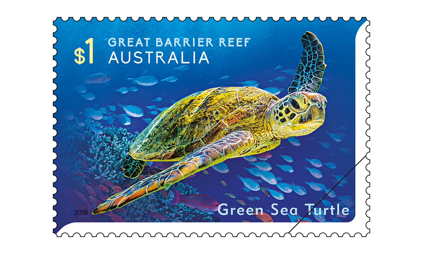 Reef Safari Green Sea Turtle $1 stamp