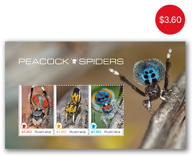 Peacock Spiders minisheet Peacock Spiders Minisheet
