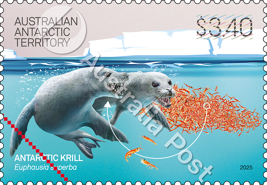 krill_AAT_Stamp_02_170_400_NoNet_WM
