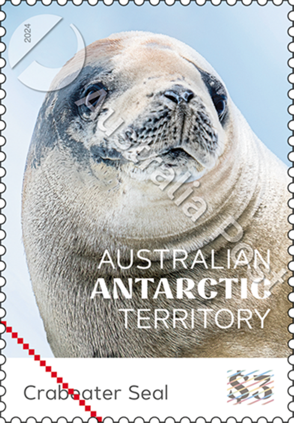 $3 Crabeater Seal Lobodon carcinophagus