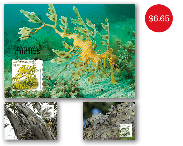 Nature's Mimics maxicard set Set of Nature's Mimics Maxicards