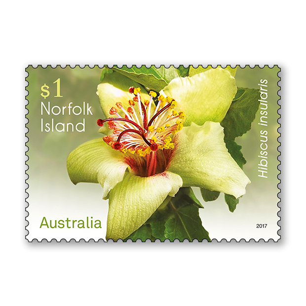 Norfolk Island Flowers