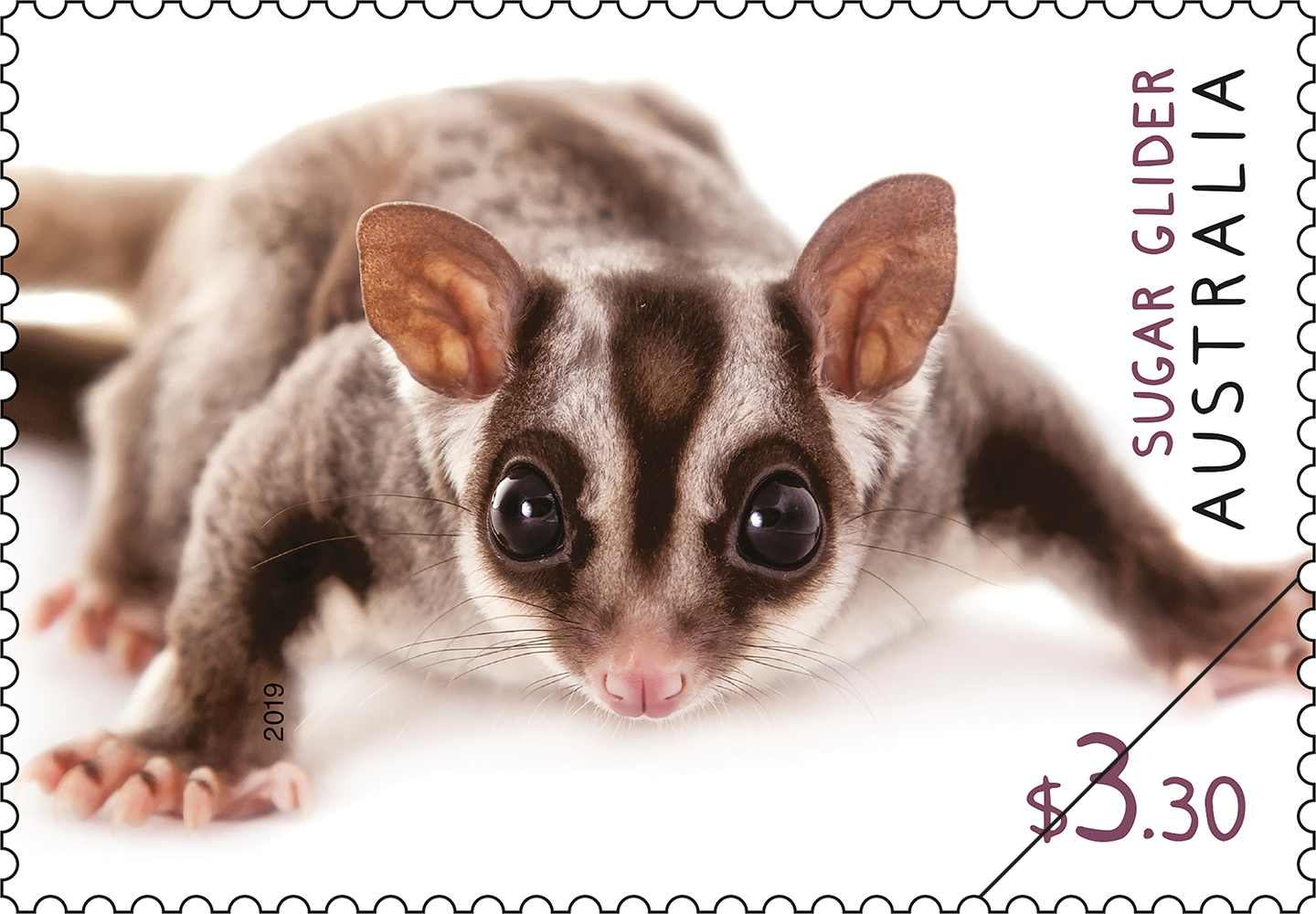 Native_Fauna_SugarGlider_stamp_400 $3.30 - Sugar Glider