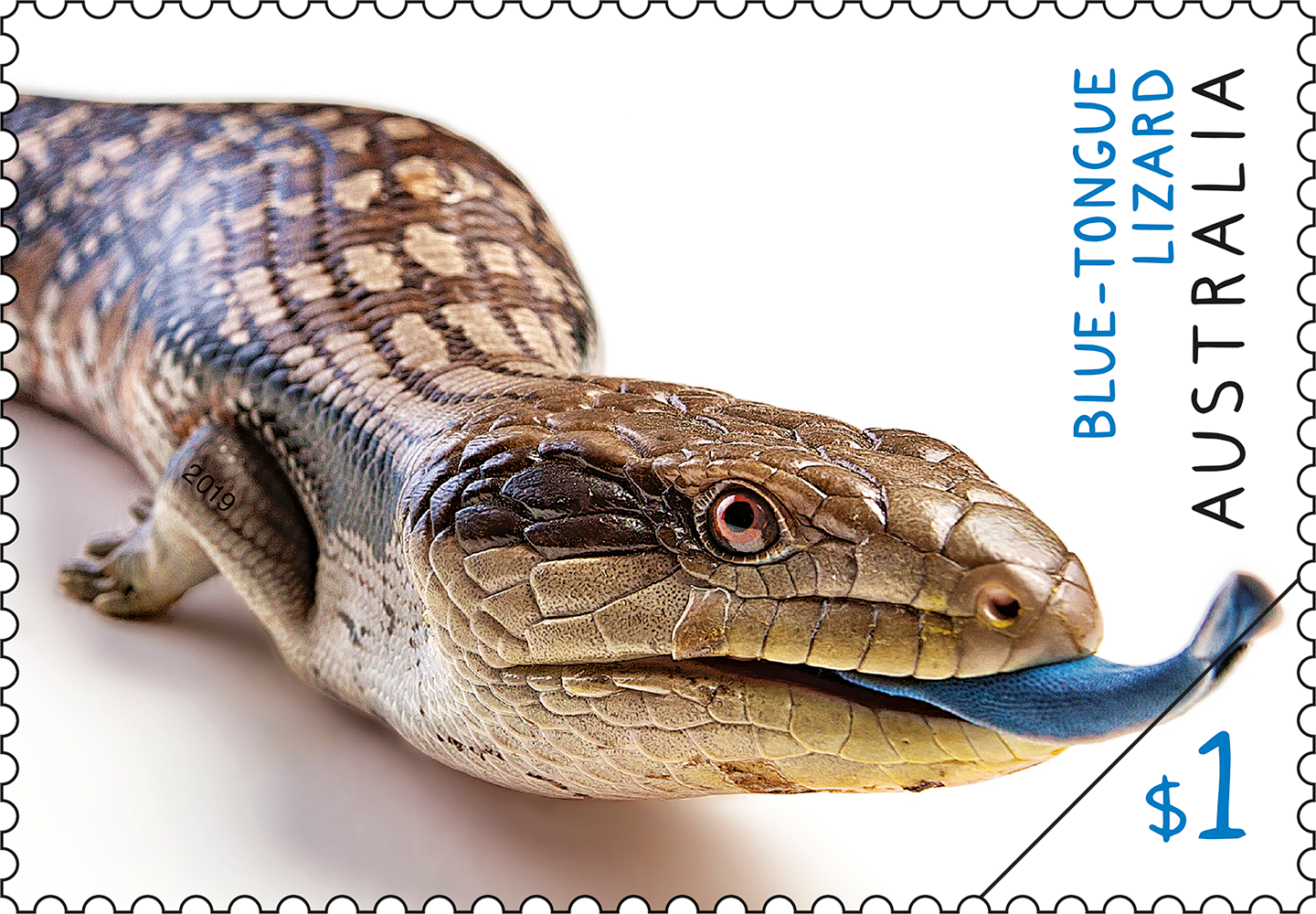 Australian Fauna Blue-tongue Lizard stamp