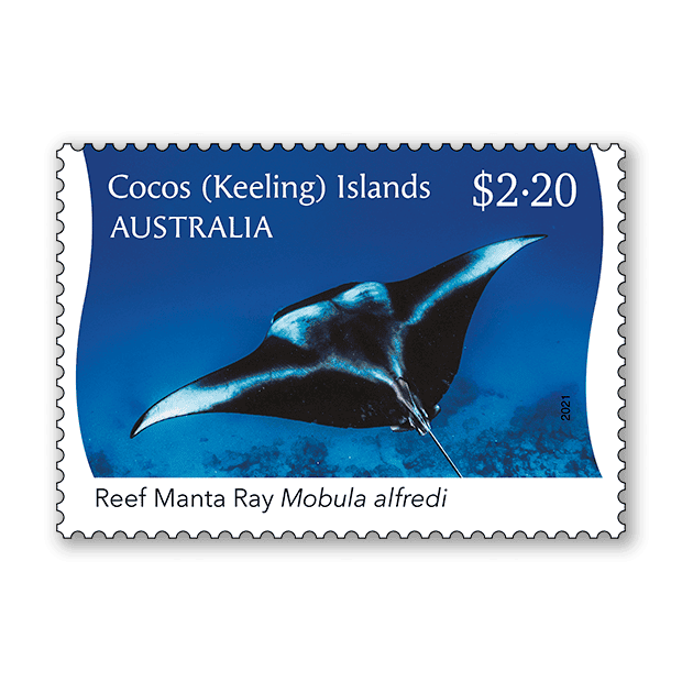 Cocos (Keeling) Islands Reef Manta Ray
