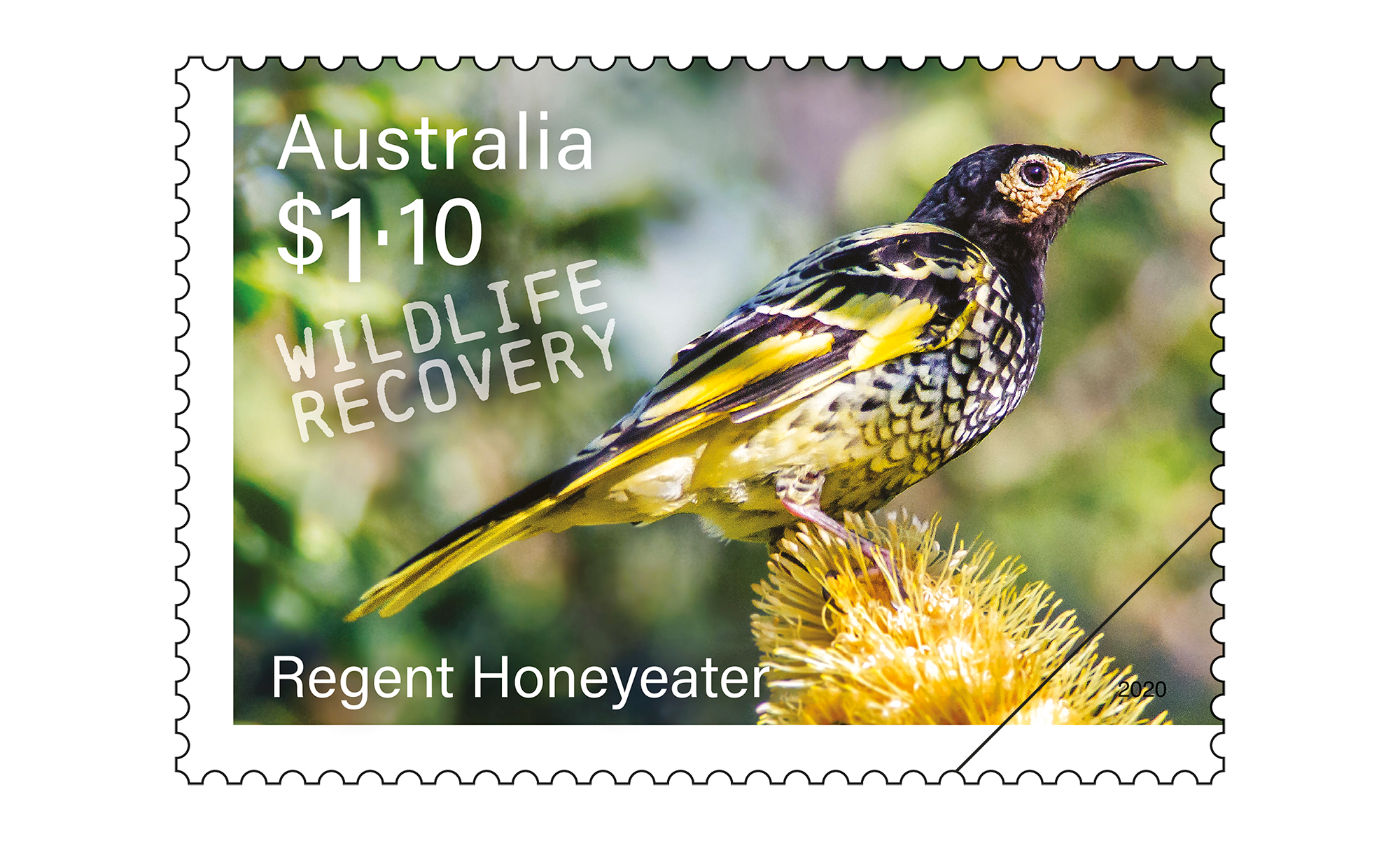 SCM_Wildlife_Recovery_Stamp_06_400 Regent Honeyeater