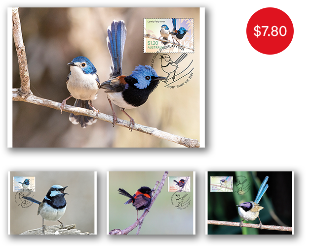 Set of Fairy-wrens Maxicards
