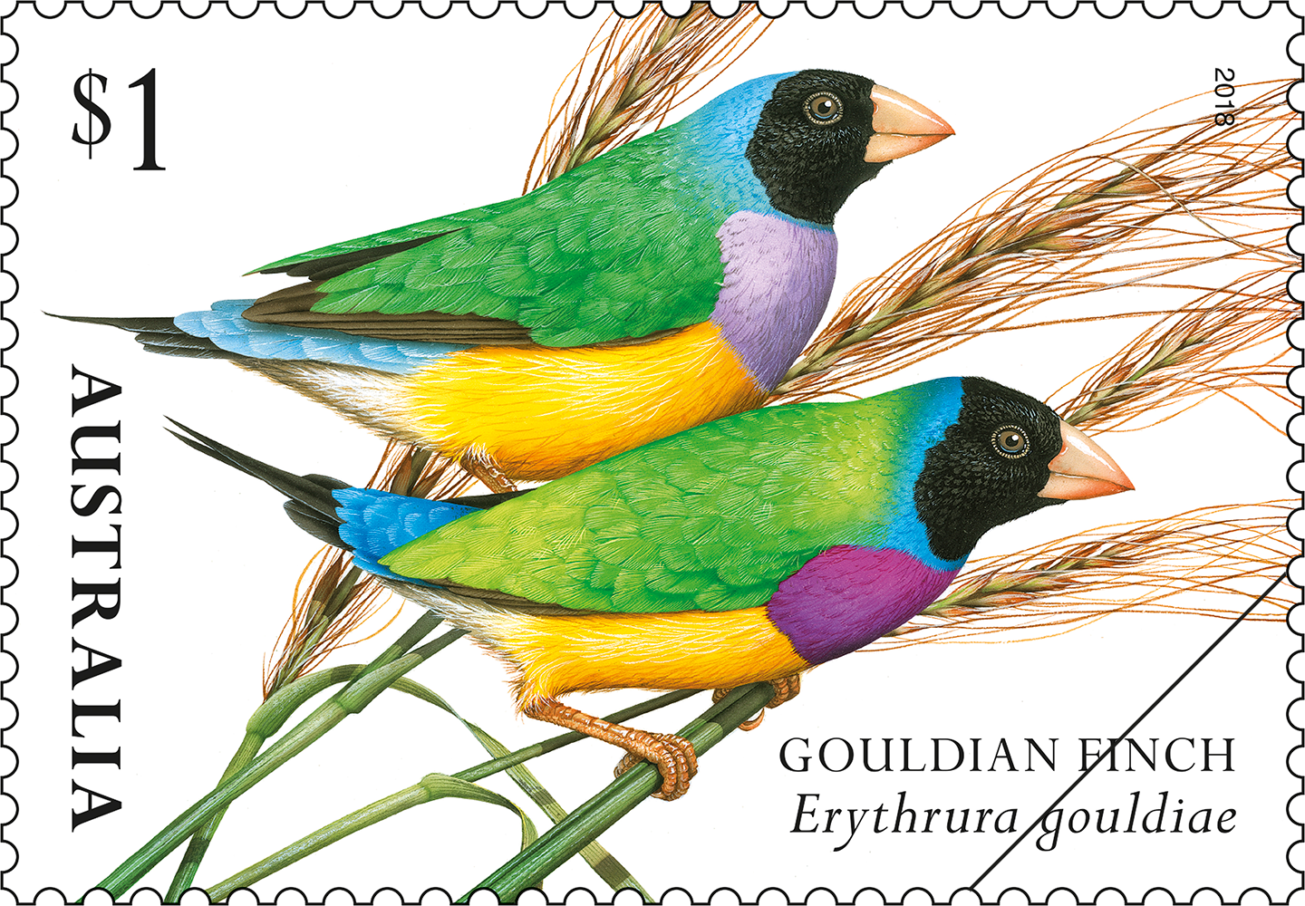 Finches of Australia II Gouldian Finch stamp $1 Gouldian Finch (Erythrura gouldiae)