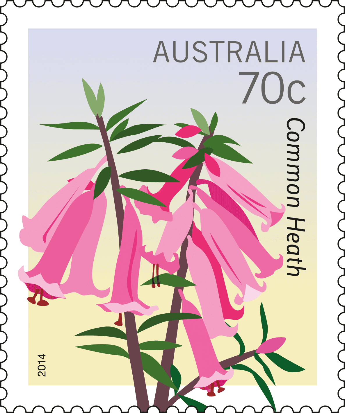 70c Common Heath