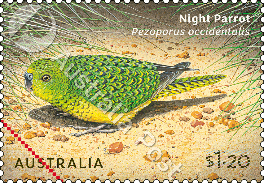 $1.20 Night Parrot