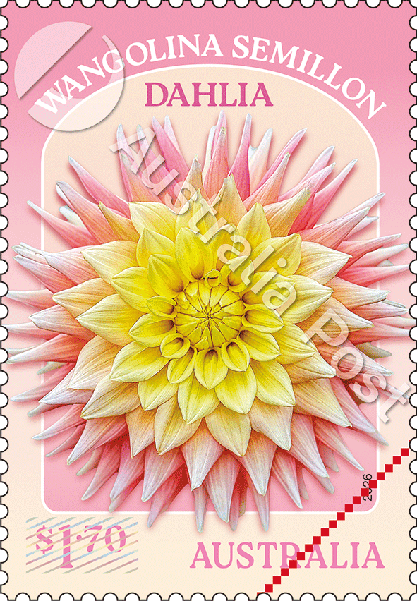 $1.70 Wangolina Semillon 