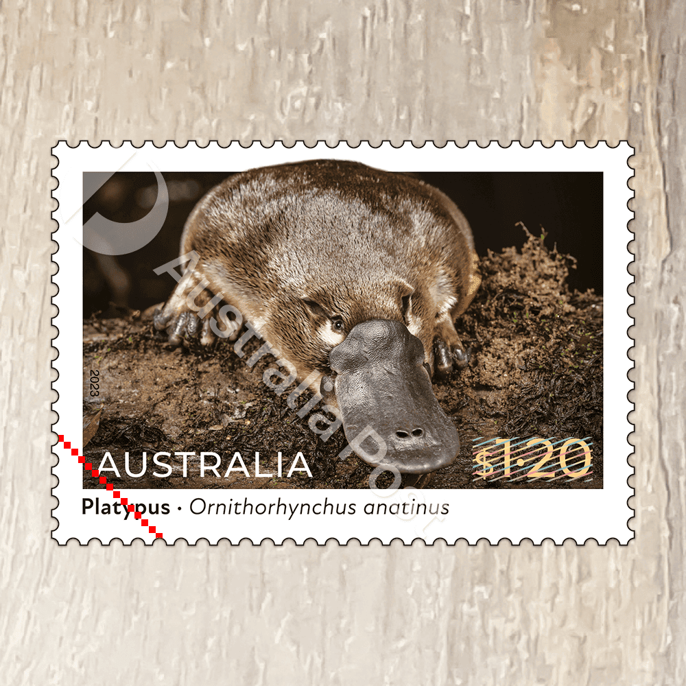 Native Animals 2022