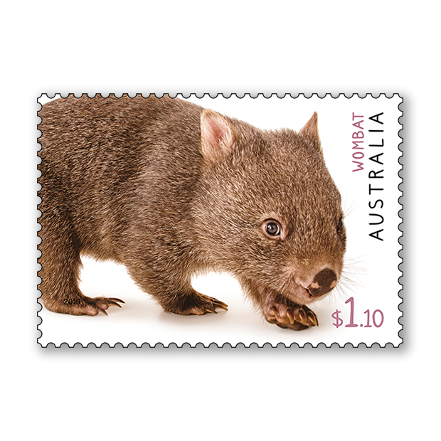 Australian Fauna II