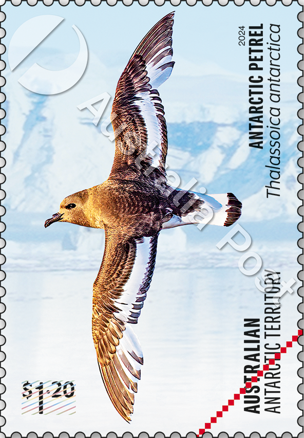 $1.20 Antarctic Petrel, Thalassoica antarctica