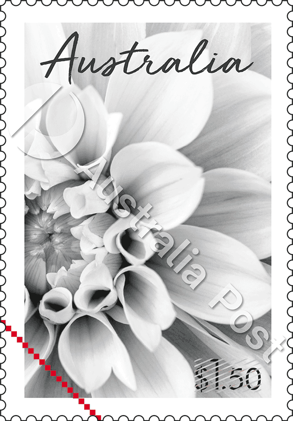 2024_Special Occasions_Stamp_07_WM Dahlia