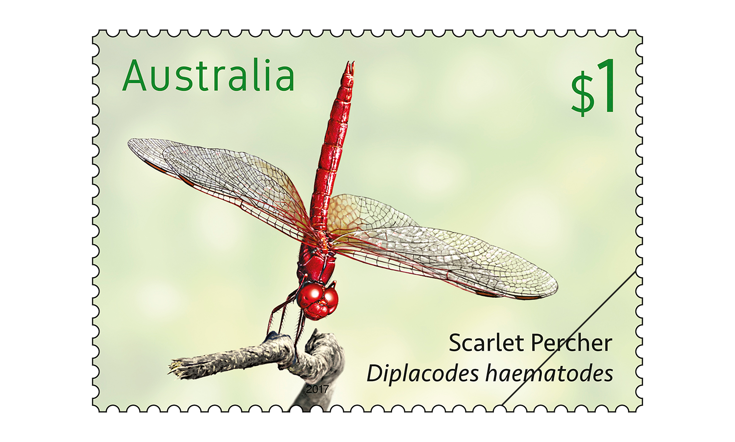Scarlet Percher stamp from Dragonflies stamp issue $1 Scarlet Percher, Diplacodes haematodes