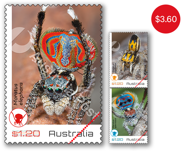 Peacock Spiders set of stamps Set of Peacock Spiders Gummed Stamps