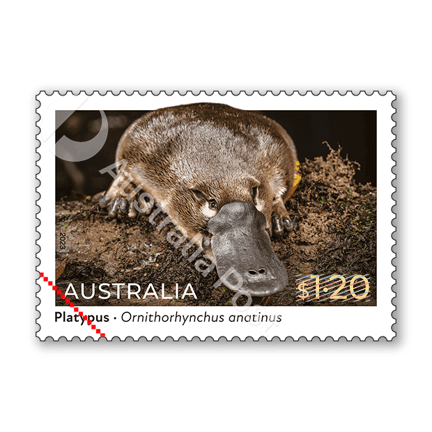 Native Animals 2022