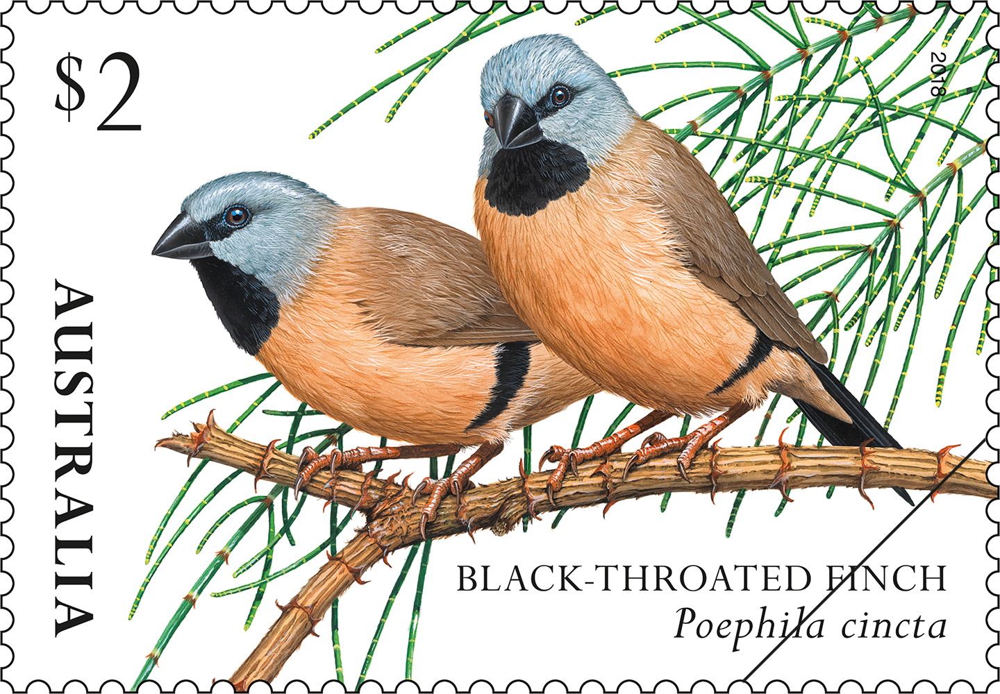 Finches of Australia II Black-throated Finch stamp $2 Black-throated Finch (Poephila cincta)
