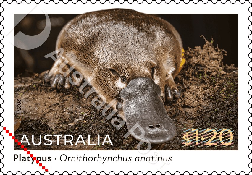 Native Animals 2022