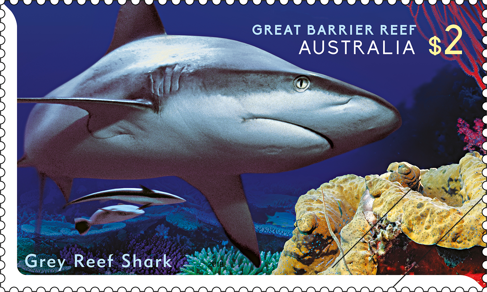 Reef Safari Grey Reef Shark $2 stamp Reef Safari