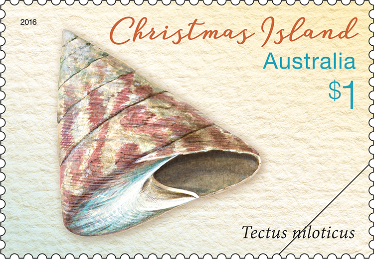 $1 Tectus niloticus stamp