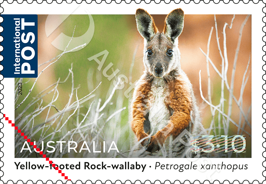 2023_Native_Animals_Inter_310_400