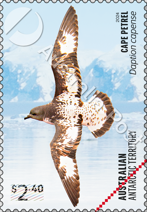 $2.40 Cape Petrel, Daption capense