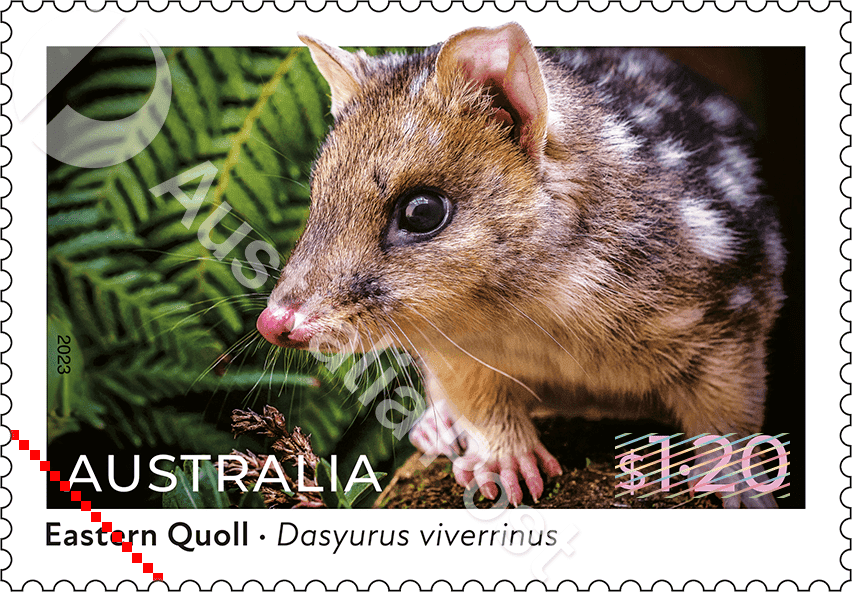 $1.20 Eastern Quoll (Dasyurus viverrinus)