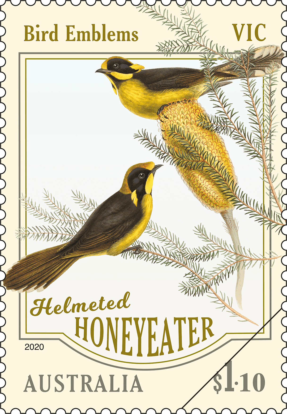 $1.10 - Helmeted Honeyeater