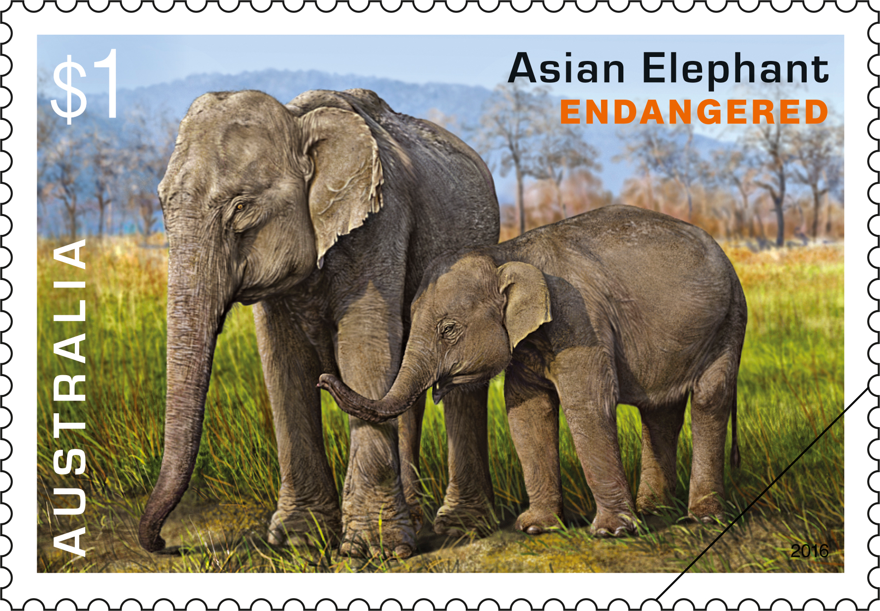 $1 Asian Elephant (Elephas maximus)