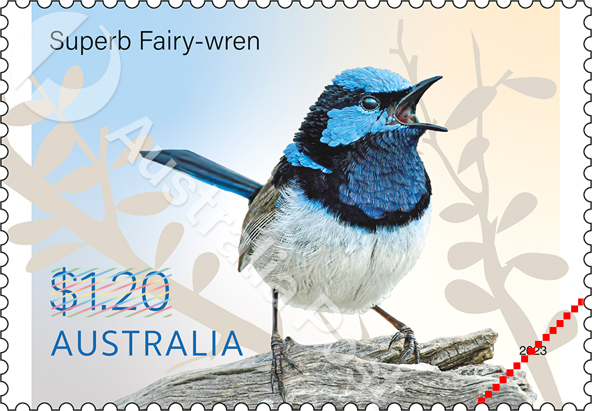 ~ai-c3f9ec9c-e2ba-4c9f-900f-a86a42399aa1_ Fairy-wrens