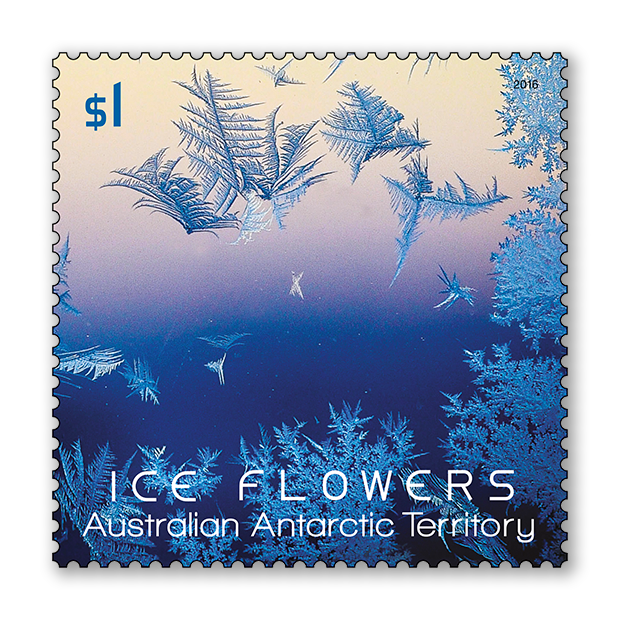 AAT: Ice Flowers