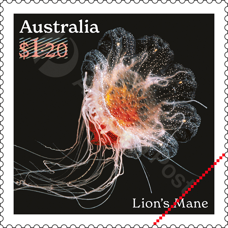 2023_Jellyfish_Stamps_04_400