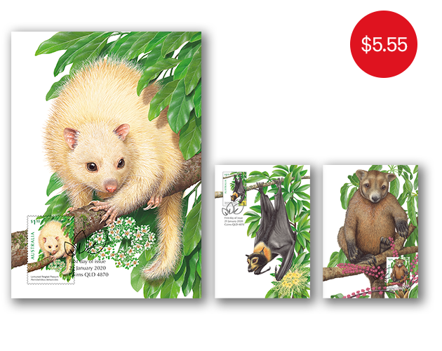 Set of Tree-dwellers of the Tropics maxicards