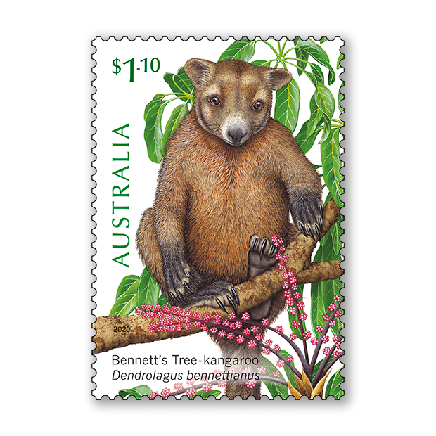 Tree-dwellers of the Tropics