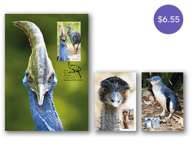 Flightless Birds maxicard set Flightless Birds maxicard set