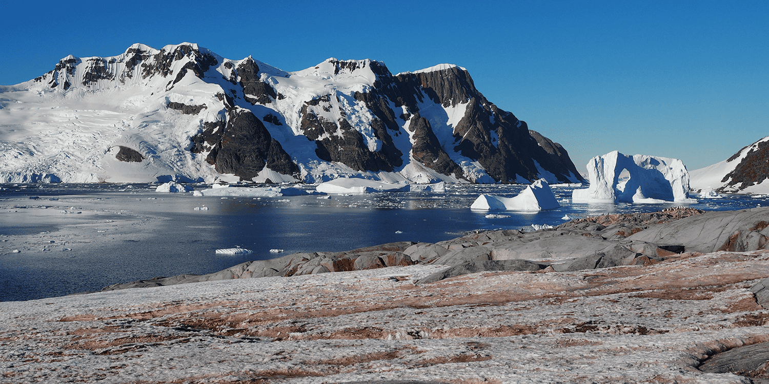AAT Casey Research Station: 50 Years background