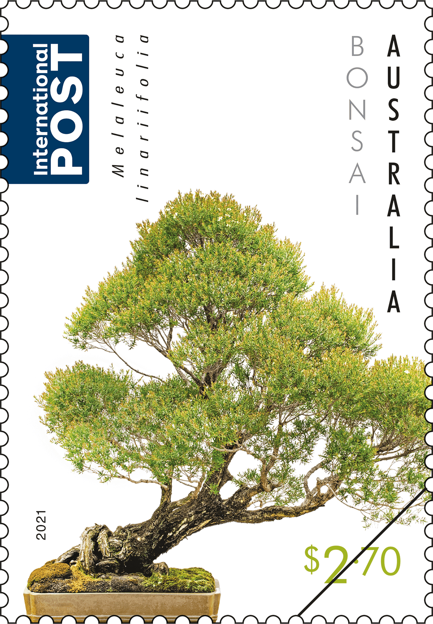 BONSAI_Callistemon_Stamp_01_400