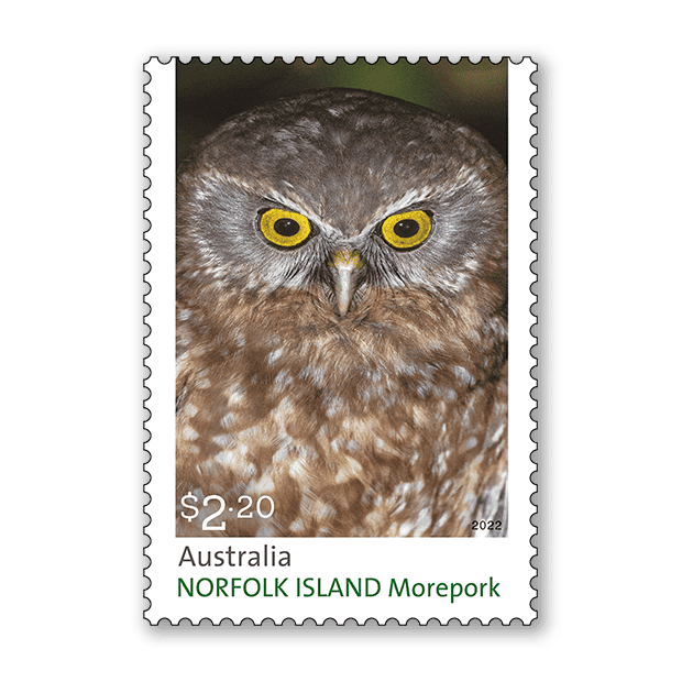 Norfolk Island Morepork Back from the Brink