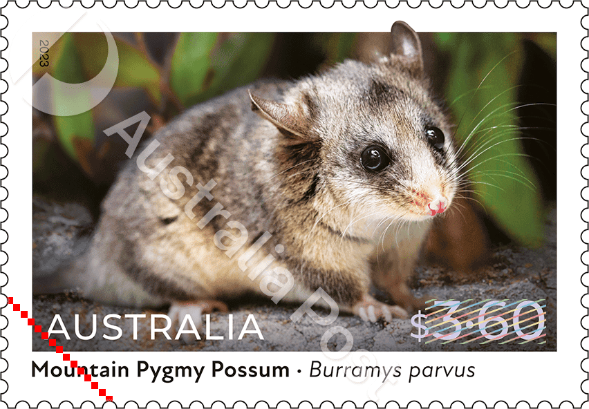 $3.60 Mountain Pygmy Possum (Burramys parvus)