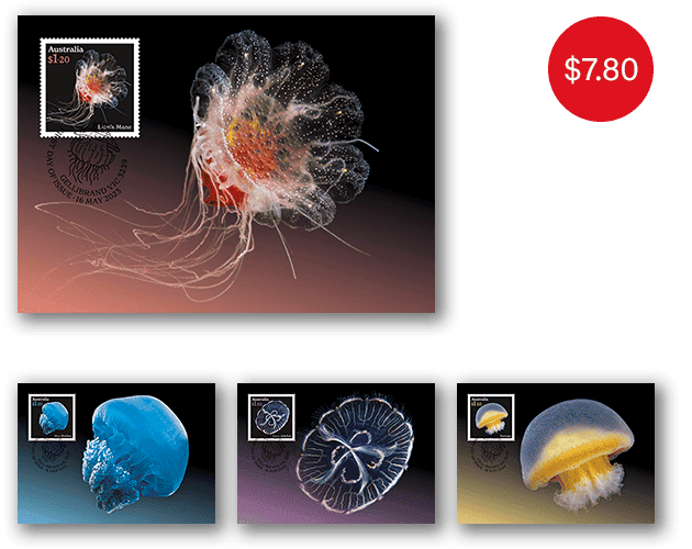 Jellyfish: Underwater Wonders maxicard set