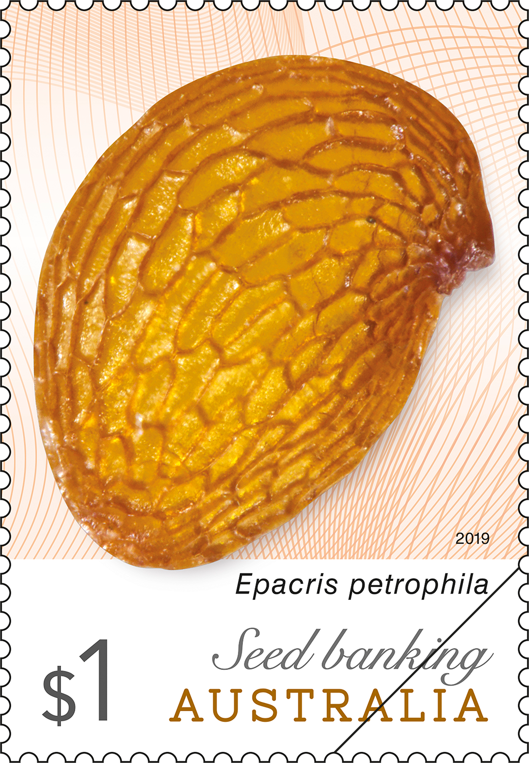Seedbanking_Stamp_01_400 Seed Banking Australia
