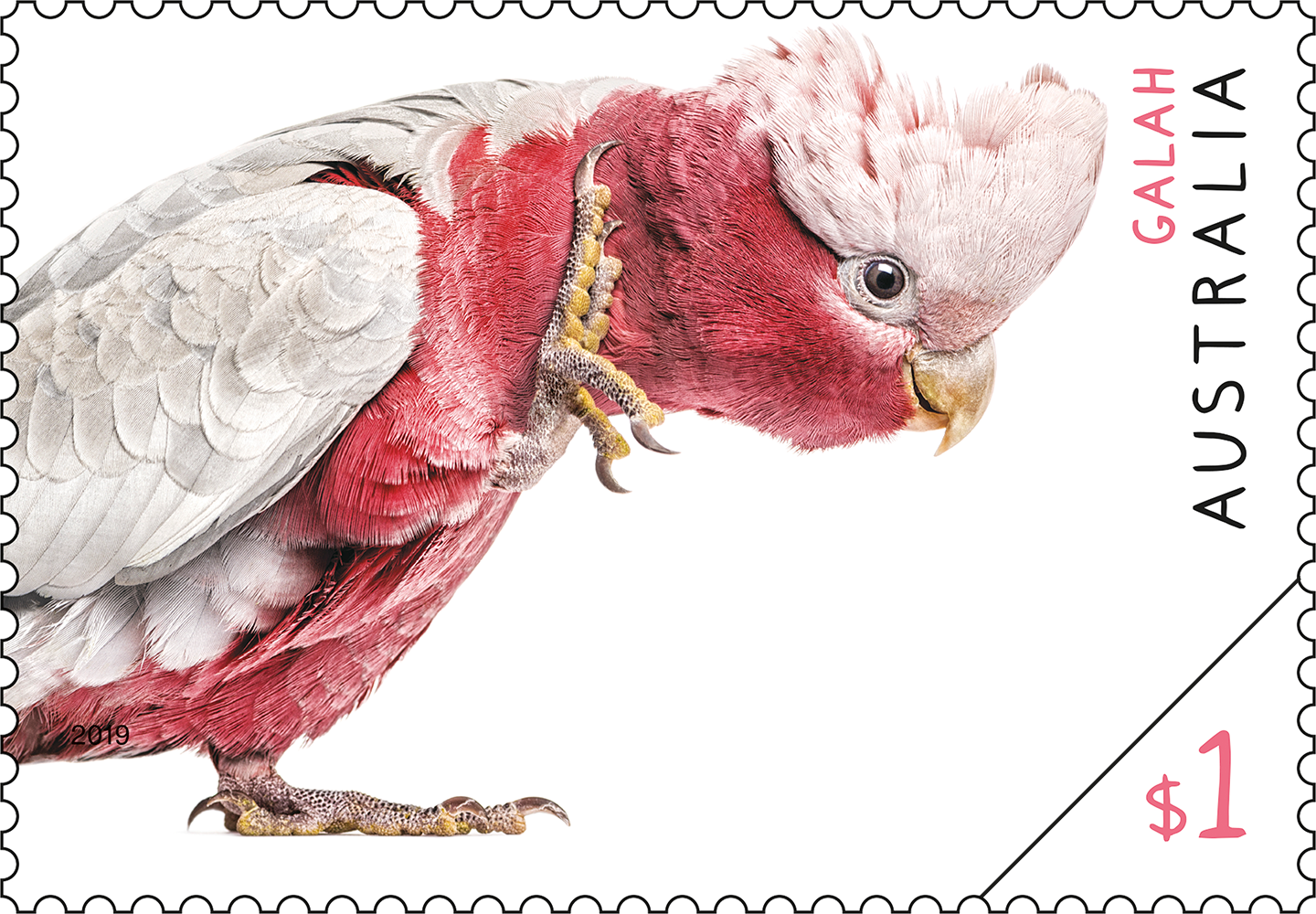 Australian Fauna Galah stamp $1 Galah