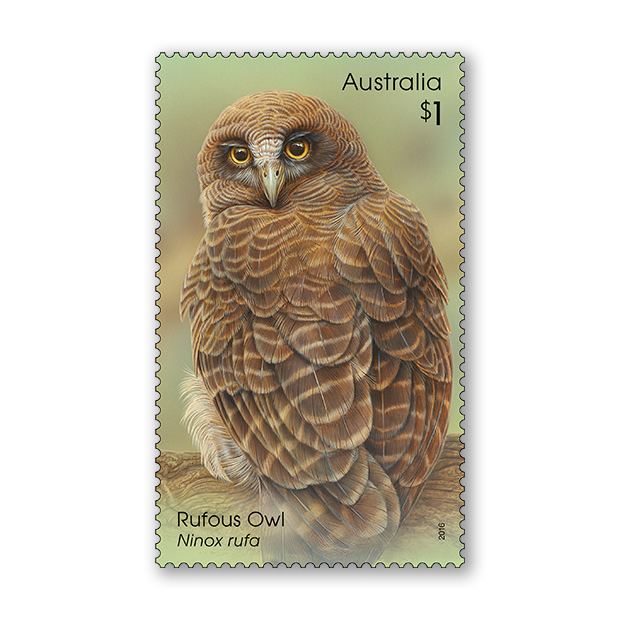 Owls: Guardians of the Night