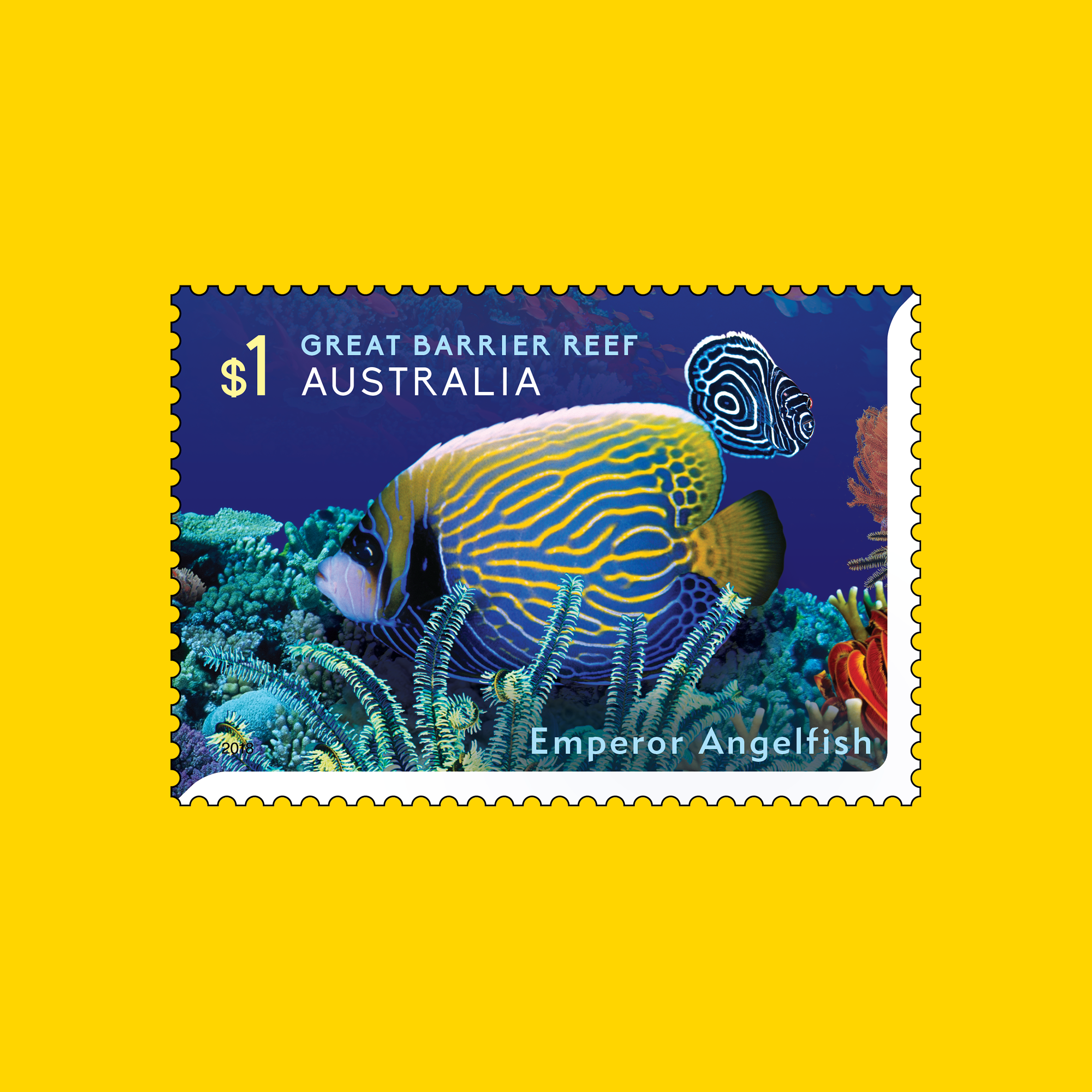Emperor Angelfish