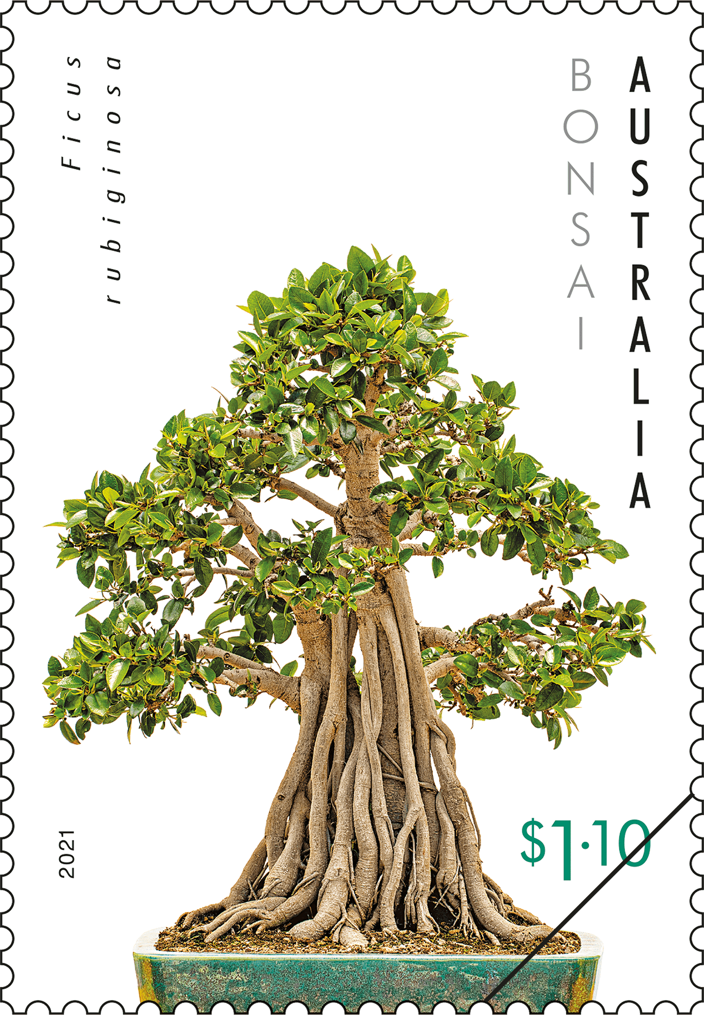 BONSAI_Callistemon_Stamp_01_400