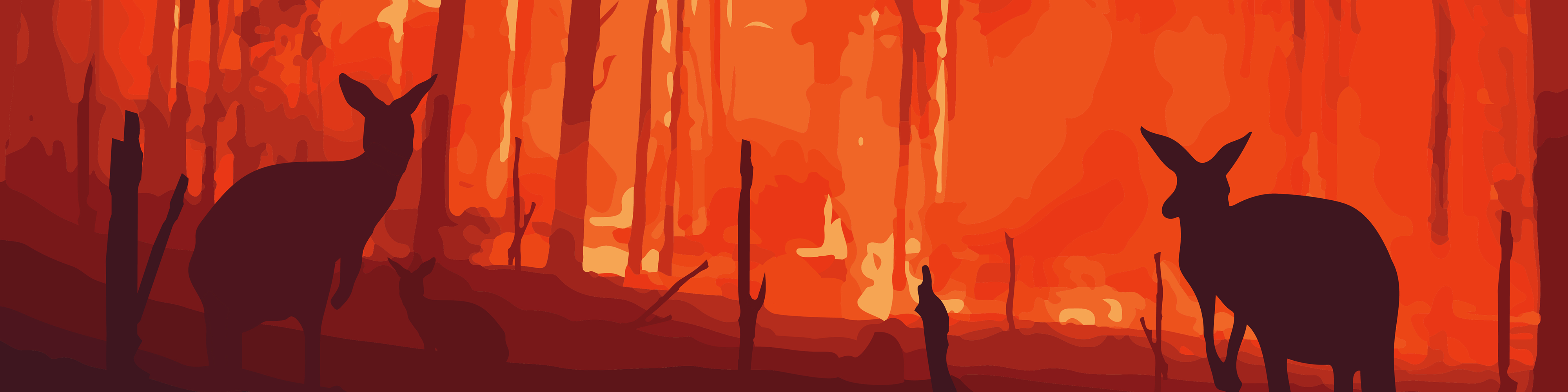 Australian bushfires
