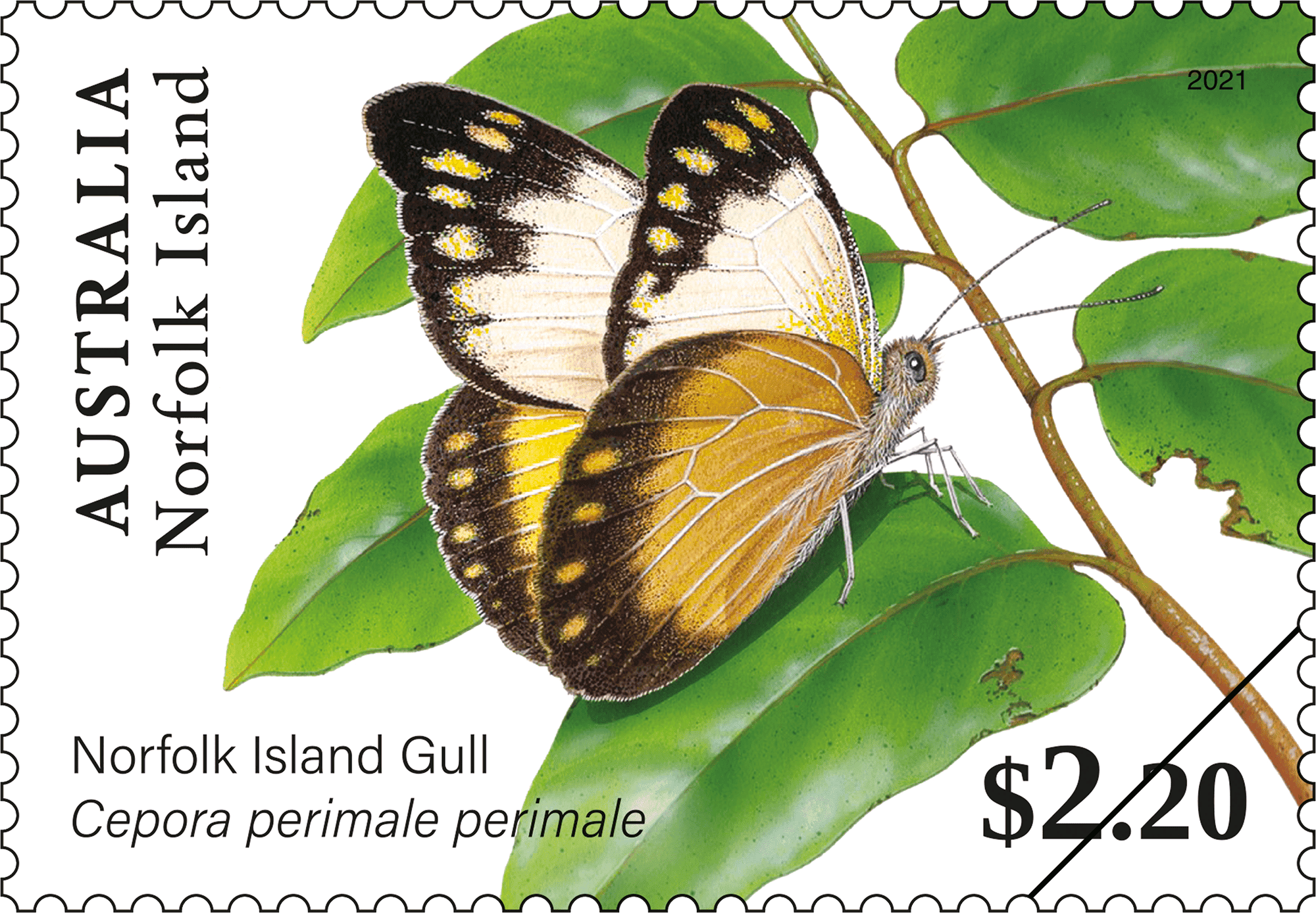 NI Butterflies stamps_02_400 $2.20 Norfolk Island Gull, Cepora perimale perimale