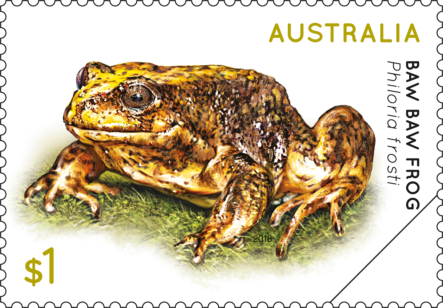 Baw Baw Frog $1 Baw Baw Frog, Philoria frosti